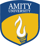 Amity University Noida Image